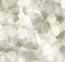 Seashell