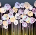 Cotton Candy Carnation