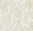 Bone
