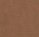 Spiced Tan
