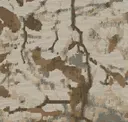 Vapor