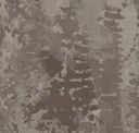 Birch