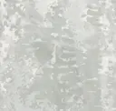 Fresco