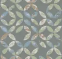 Lichen
