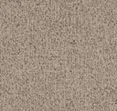 Barley