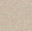 Cornsilk