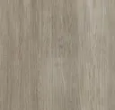Dune Wind
