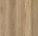 Fawn Elm