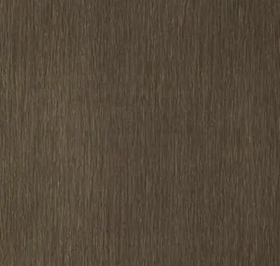 Main