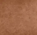 Salsa
