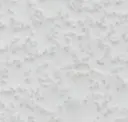Paintable Absolute White™ Latex Paint Covering
