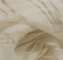 Dust Cloud