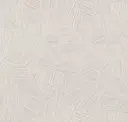 Polished Porcelain
