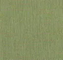 Sea Grass