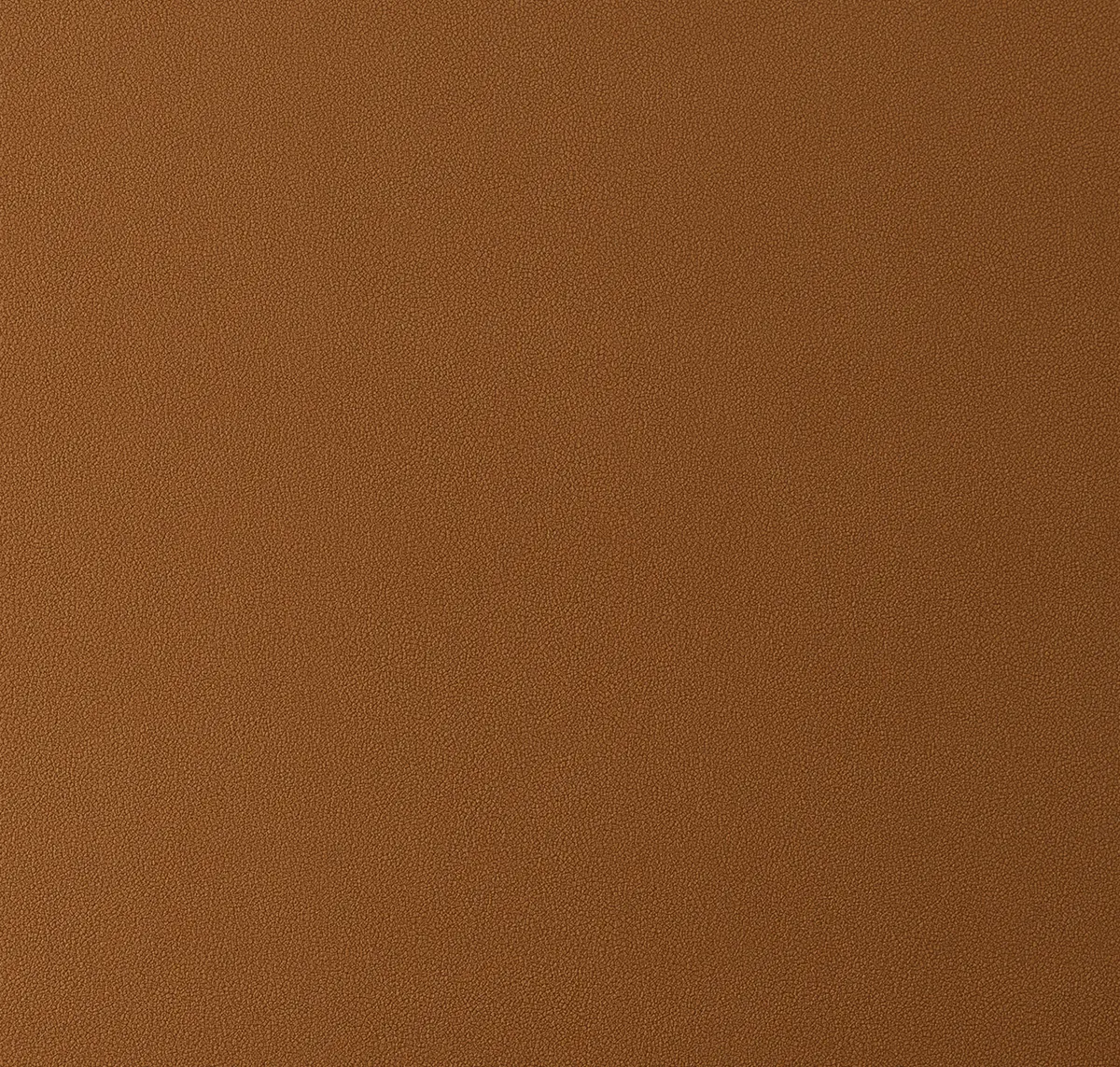Main
