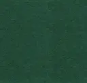 Green Envy