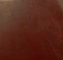 Sabra