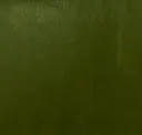 Vegetation