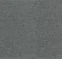 Iron
