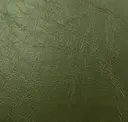 Old Growth Forest