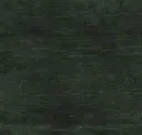 Dark Forest