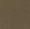 Mandolin
