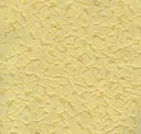 Yellow Goldenrod