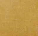 Maize