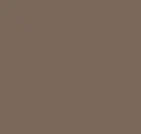 Bronze Metallic