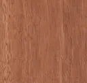Jarrah