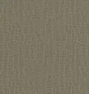 Bark