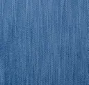 Blueberry Tart