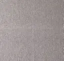 Capricorn