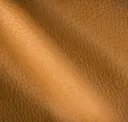 Maize