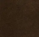 Cacao