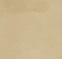 Segale