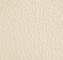Ostrica