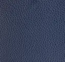Blu Pavone