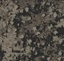 Temporal