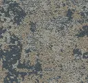 Transient
