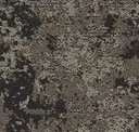 Temporal