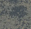 Transient