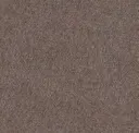 Terra D'ombra 7579