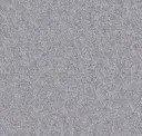 Middle Grey