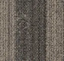 Sahara