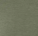Conifer