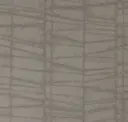Fossil