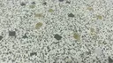 Magnetic Field