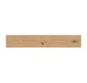 Icon Oak