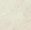 Bone